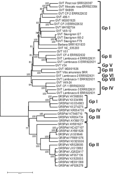 Fig 2. Phylogenetic tree reconstructed using the complete or near-complete genome sequence of GVT and GRSPaV isolates