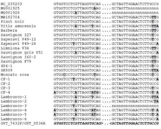 Fig 3. Comparison of the sequence of the various GVT isolates at the binding sites of the GVT_7632F/