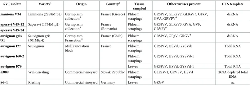 Table 1. GVT isolate, grapevine variety, origin and tissue sampled for the grapevine plants analyzed here and viruses identified in addition to GVT.