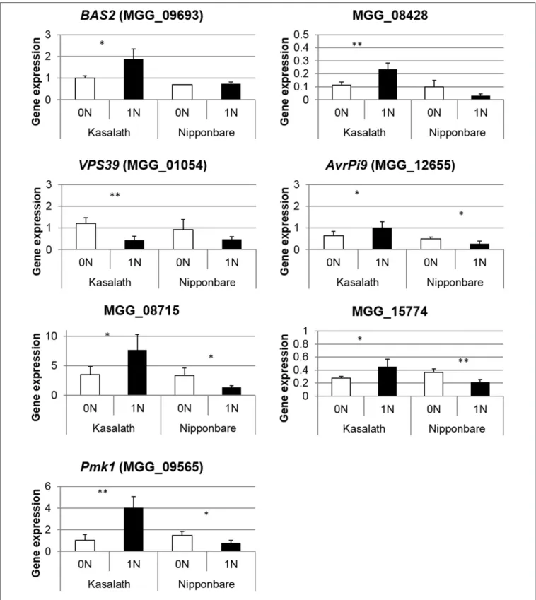 FIGURE 6 | Validation of RNA-seq for M. oryzae pathogenicity genes by quantitative RT-PCR