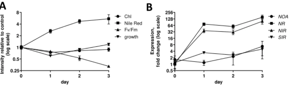 Figure 5: Expression of NOA, NR, NIR and SIR in nitrogen depleted wild-type Phaeodactylum cells 