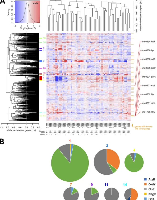 FIG 6 Analysis of the reﬁned transcriptome data set created by ﬁltering out the variations captured by PC1 and PC2