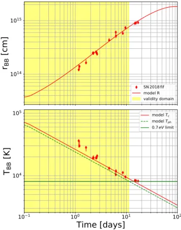 Figure 6. The evolution in time of the bolometric luminos- luminos-ity of a blackbody with the same radiation as SN 2018 fif.