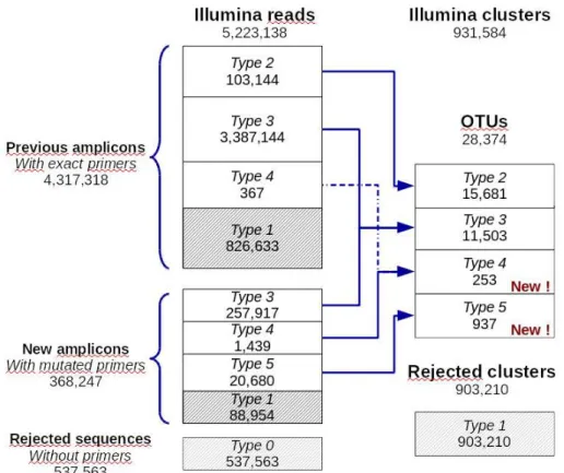 Fig R11: Distribution of Illumina reads through the primer search workflow.