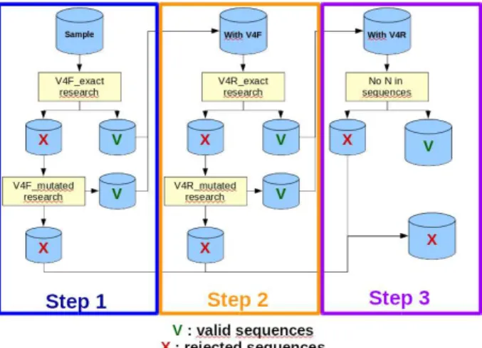 Fig M4: mutated models for V4F and V4R primers.