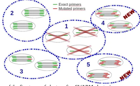 Fig R5: Illustration of the five types of cluster after SWARM clustering