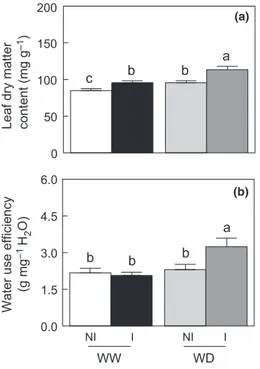 Fig. 6 Effects of Phyllobacterium brassicacearum STM196 and water deficit (WD) on water status of Arabidopsis thaliana Col-0