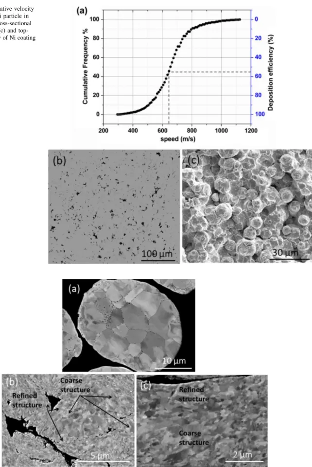 Fig. 2 (a) Cumulative velocity distribution for Ni particle in gas stream, (b) cross-sectional morphology and (c) and  top-down morphology of Ni coating