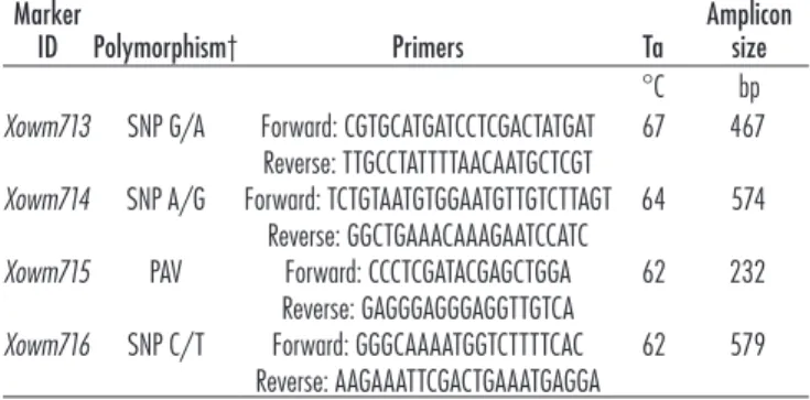 Table 2. Markers mapped in the Dn2401 region of wheat.