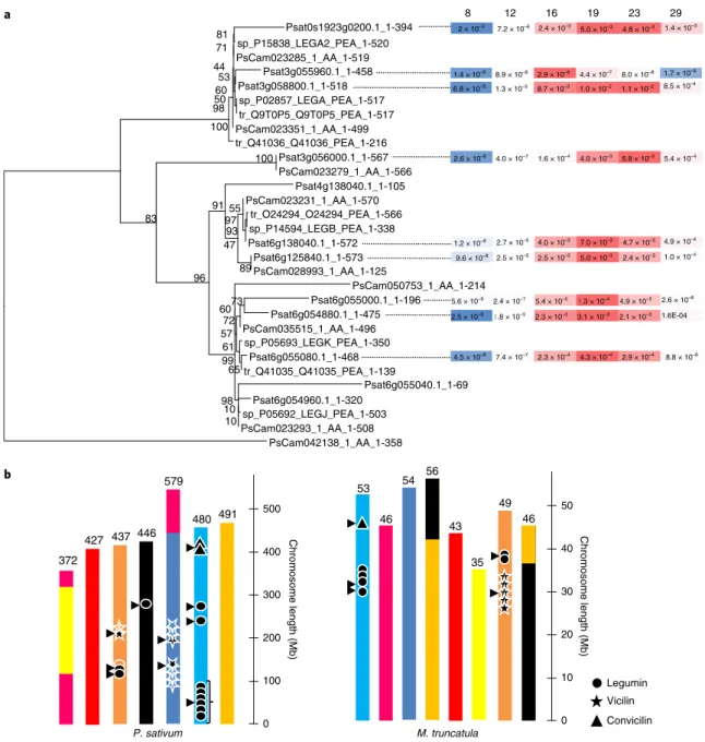 Fig. 7 | Pea seed storage protein gene families. a, Legumin gene tree including sequences from the pea genome reference, the UniProt database and the  pea gene atlas reveals different clusters distributed on four loci; gene expression in developing seeds w