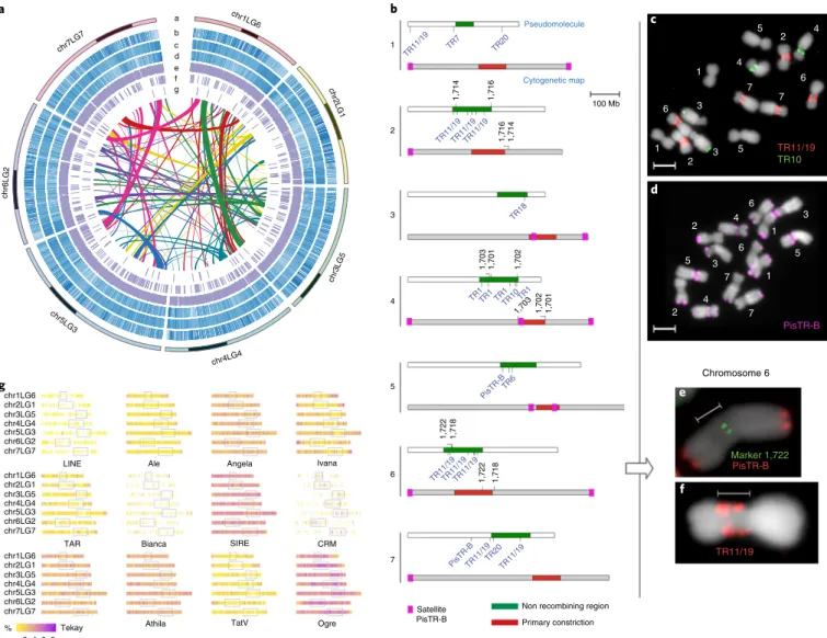 Fig. 1 | Pea genome features. a, Circos view of the pea genome. Pseudomolecule color-code is shaded at estimated centromere positions