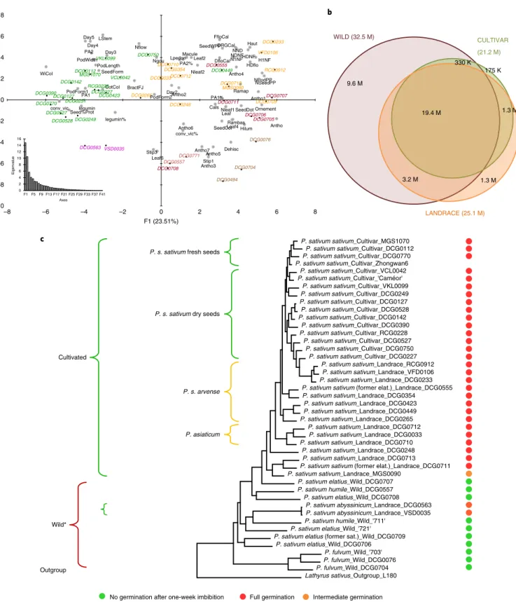 Fig. 6 | The genetic relationships among the Pisum genus. a, PCA of phenotypic traits (Supplementary Notes) discriminating the different Pisum gene  pools