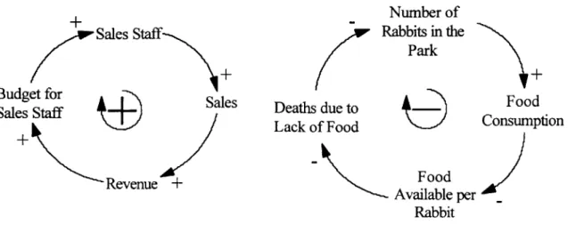 Figure 3:  Positive and Negative  Loops