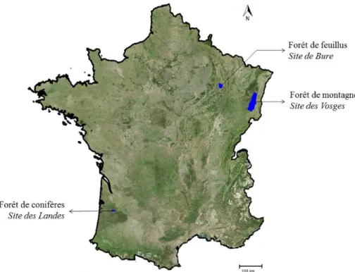 Figure I.3. Localisation des trois sites d'étude (en bleus). 