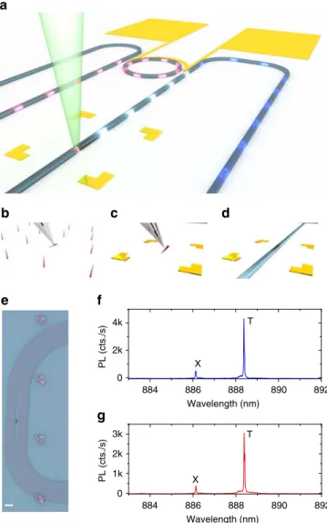 Fig. 1 Hybrid quantum photonic circuit. a Schematic view of the fabricated hybrid quantum photonic circuit, consisting of an InAsP QD in an InP nanowire (ruby coloured) that is integrated with a SiN waveguide (blue) and on-chip tunable ring resonator ﬁ lte