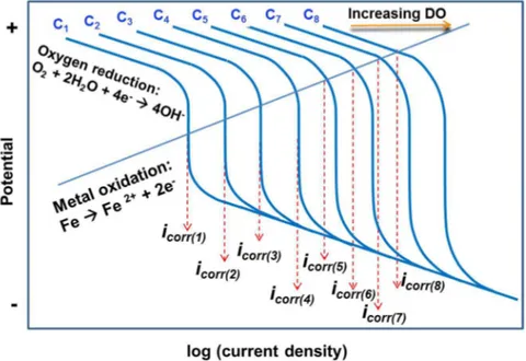 Figure 8  (a) Schematic representation of the influence of dissolved oxygen (DO) on corrosion  current density (corrosion rate) of iron as the intersection of a DO-dependent 