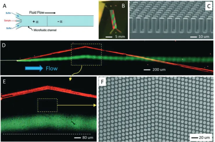 Fig. 3A captures the separation of 0.5 μm and 2.7 μm beads along the length of the device (Video S1†)