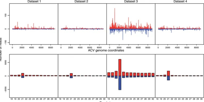 Fig 4. Readmaps and size distributions of small RNAs that align on the Anopheles C virus reconstructed genome