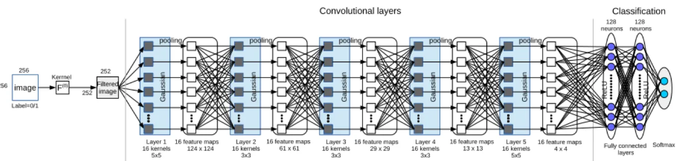 Figure 1. Qian et al. Convolutional Neural Network [14].
