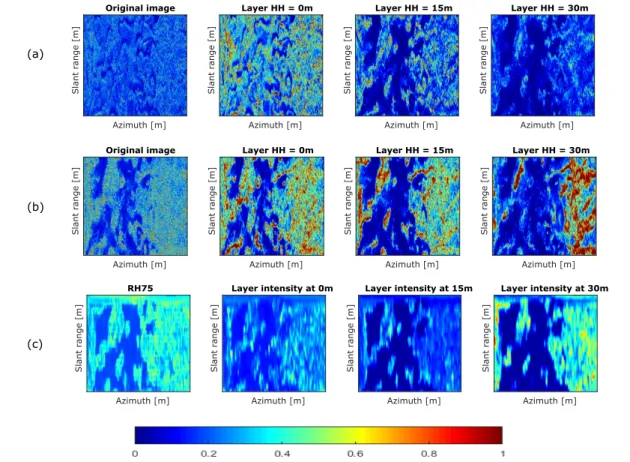 Figure 10. (a) original SAR image. HH power intensities associated with an L-band SAR with three layers produced by TomoSAR: 0 m, 15 m, 30 m; (b) original SAR image