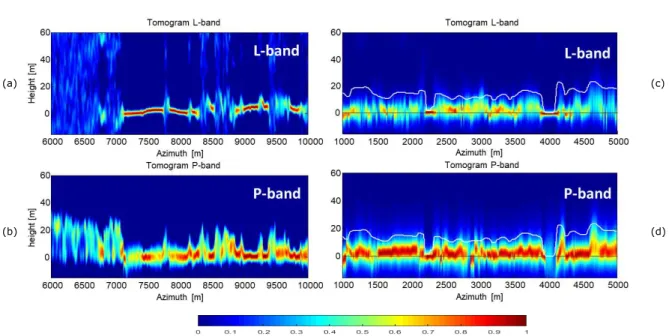 Figure 4 presents the tomographic profile of a constant range section at P-and L-band in tropical Paracou forest and Boreal Krycklan forest