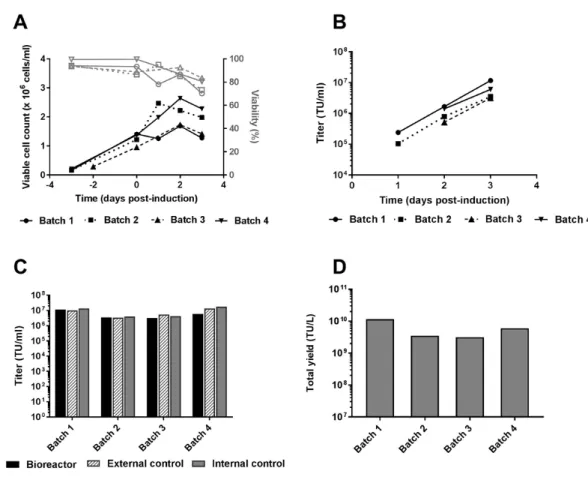 Figure 2: Results obtained in 3L bioreactor runs operated in batch mode. A) Viable cell  count (black line) and viability (grey line) measured in 4 independent bioreactor runs  (Batch 1 to Batch 4) operated in batch mode using SFM4TransFx293 medium