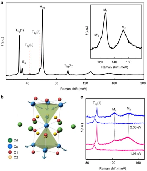 Fig. 1 Raman spectra of Cd 2 Os 2 O 7 obtained at low temperature. a is the Raman spectrum obtained at 15 K under 2.33 eV excitation laser