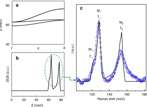 Fig. 3 LSWT calculations for Cd 2 Os 2 O 7 . a Spin wave dispersion showing three branches along the high symmetry Γ–X line for the AIAO ordered state.