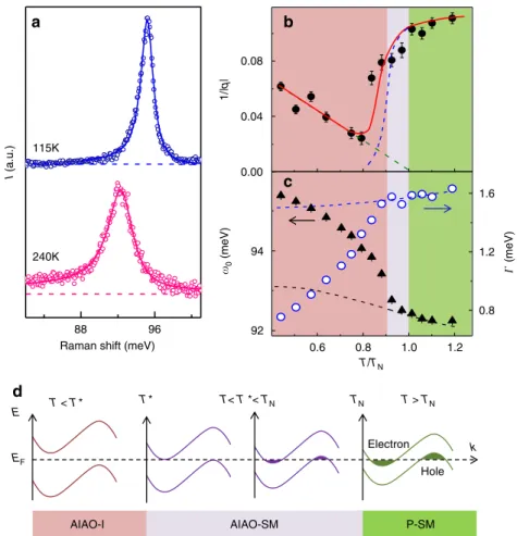 Fig. 4 The anomalous lineshape and T-dependence of the T 2g (4) phonon mode. a Raman spectra of the T 2g (4) phonon mode taken at low (115 K) and high (240 K) temperature