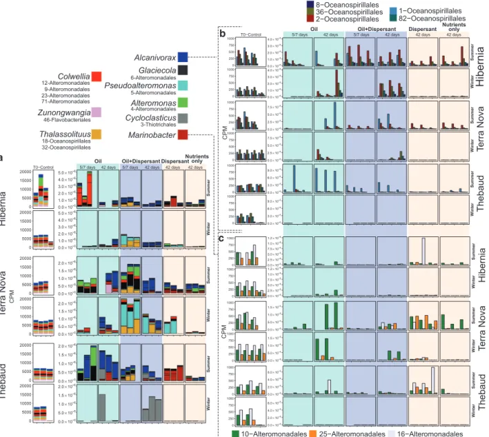 Figure 2 (a) Microbial community profiles of the most abundant 20 metagenome bins in Hibernia, Thebaud and Terra Nova summer and winter microcosms