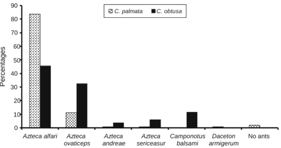 Fig.  2   The different ant species                                       90  sheltered by Cecropia  palmata 