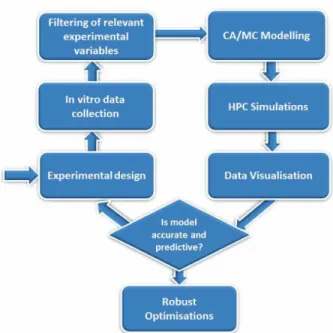 Figure 1. Data analysis and modelling workﬂow