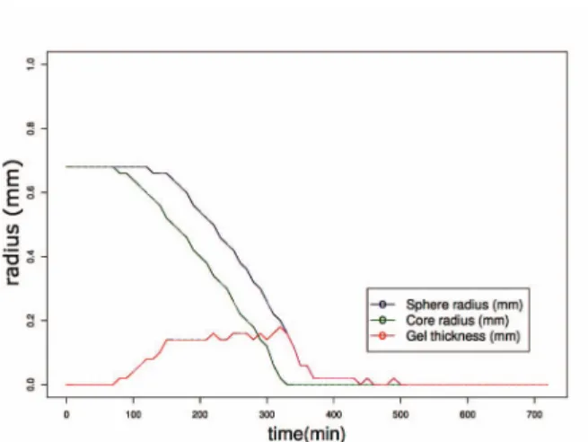 Figure 5. Gel thickness layer dynamics as a consequence of radii difference