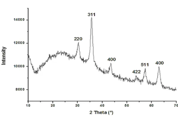 Fig. 8. FTIR spectra of iron oxide nanoparticles  encapsulated in silica