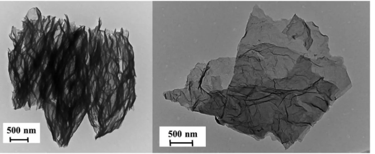 Fig. 3 SEM images and schematic view of F CNF.