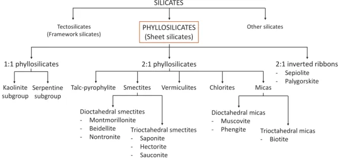 Figure I.3: Classification of silicates (Rieder et al., 1999; Organization, 2005). 