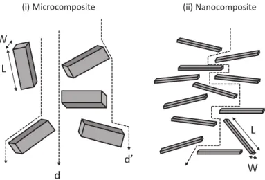 Figure I.6: Tortuosity path of permeate molecules in (i) microcomposite or (ii) nanocomposite  material