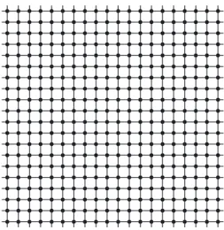 FIG. 1. The square grid Z 2 .