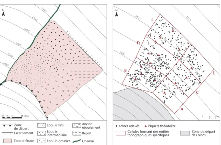 Fig. 3 Positionnement des arbres sur la parcelle étudiée.