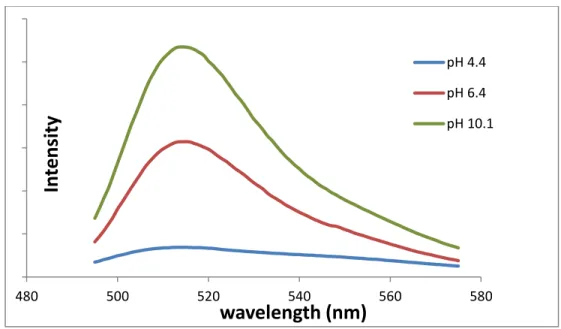 Figure S2.  AFM image for CNC-RB-1 imaged dry on poly-L-lysine-coated mica.   