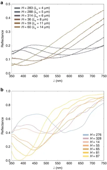 Figure 8 | Experimental and theoretical reflectance spectra.
