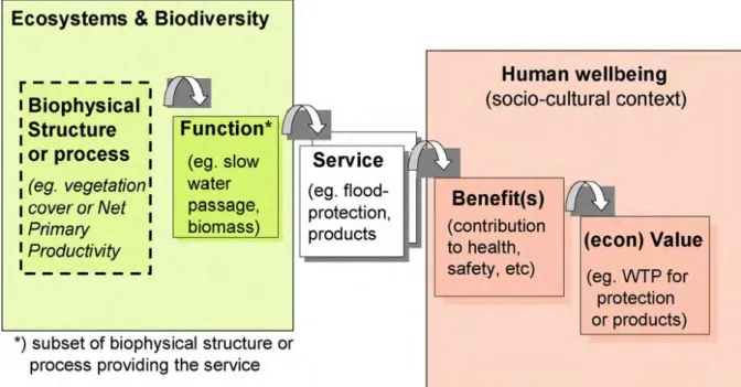 Figure 1.4. The Ecosystem Services Cascade of Haines-Young and Potschin (2010). 