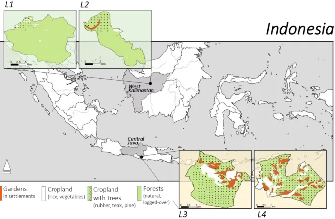 Fig  3.2.  Map  of  the  study  sites.  Land  cover  in  the  studied  landscapes  (L)  in  the  Indonesian  provinces of West Kalimantan (L1, L2) and Central Java (L3, L4) in 2014