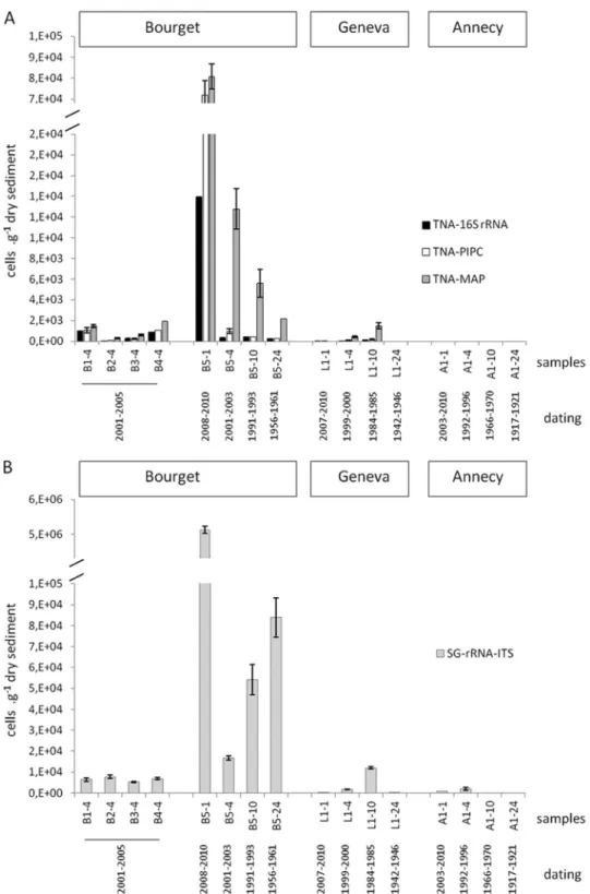 FIG. 2. Abundances of total (TNA-16S rRNA and TNA-PlPC) and MC-producing (TNA-MAP) Planktothrix (A) and total cyanobacteria (SG-rRNA-ITS) (B), estimated by qPCR, in the sediment samples from three lakes located in the French Alps (Lake Geneva, Lake Bourget