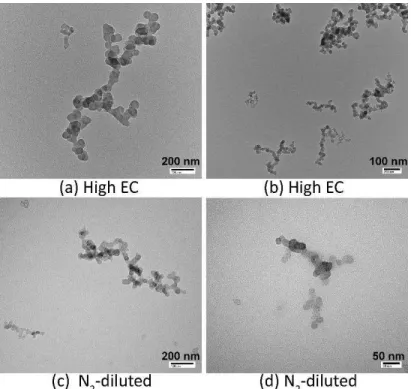 Figure 2: Sample images of the soot particles collected from the inverted burner.  