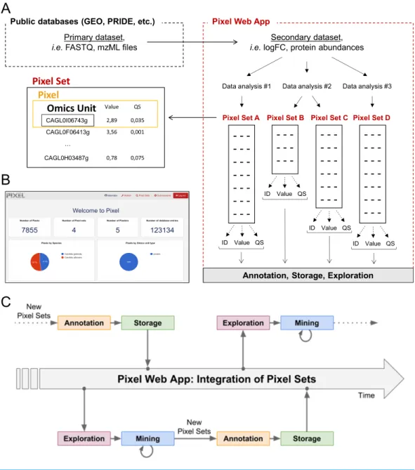 Figure 1 Dataset flow through the Pixel Web App. (A) Different types of datasets, which are managed in a multi-omics biological project