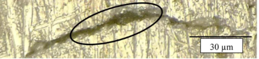 Figure 12. Close-up view of unknown residues in the cracks (circled) of the  test panel 7075-T6 aluminium.