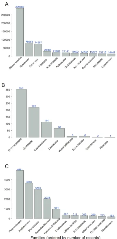 Figure 3. Most represented families (sorted by number of records) for each of the three divisions of vas- vas-cular plants represented in the RAINBIO database