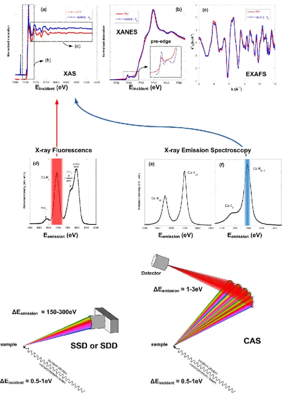 Fig.  1.  Principle  of  X-ray  absorption  spectroscopy  (XAS)-fluorescence  measurement  using  solid-state  detector (SSD) and crystal analyzer spectrometer (CAS)