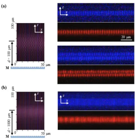 Fig. 6. Correlation between nonlinear microscopy of the SMF-28 fiber core performed at the  alignment stage and dark-field microscopy of the same region after the FBG inscription has  been completed